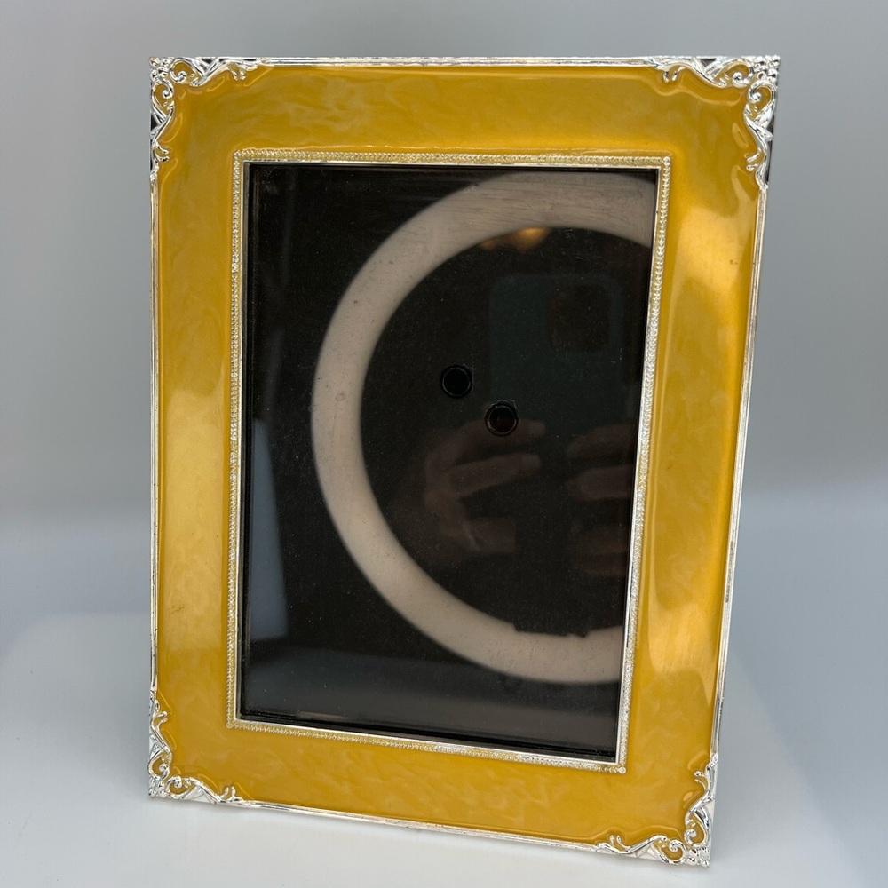 Elegant Gold and Silver Picture Frame